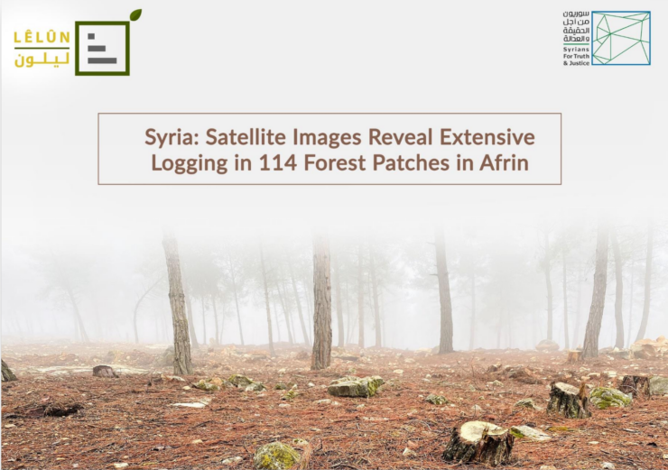 Syria_Satellite-Images-Reveal-Extensive-Logging-in-114-Forest-Patches-in-Afrin